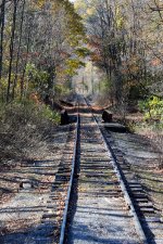 Fall Canopied Right of Way